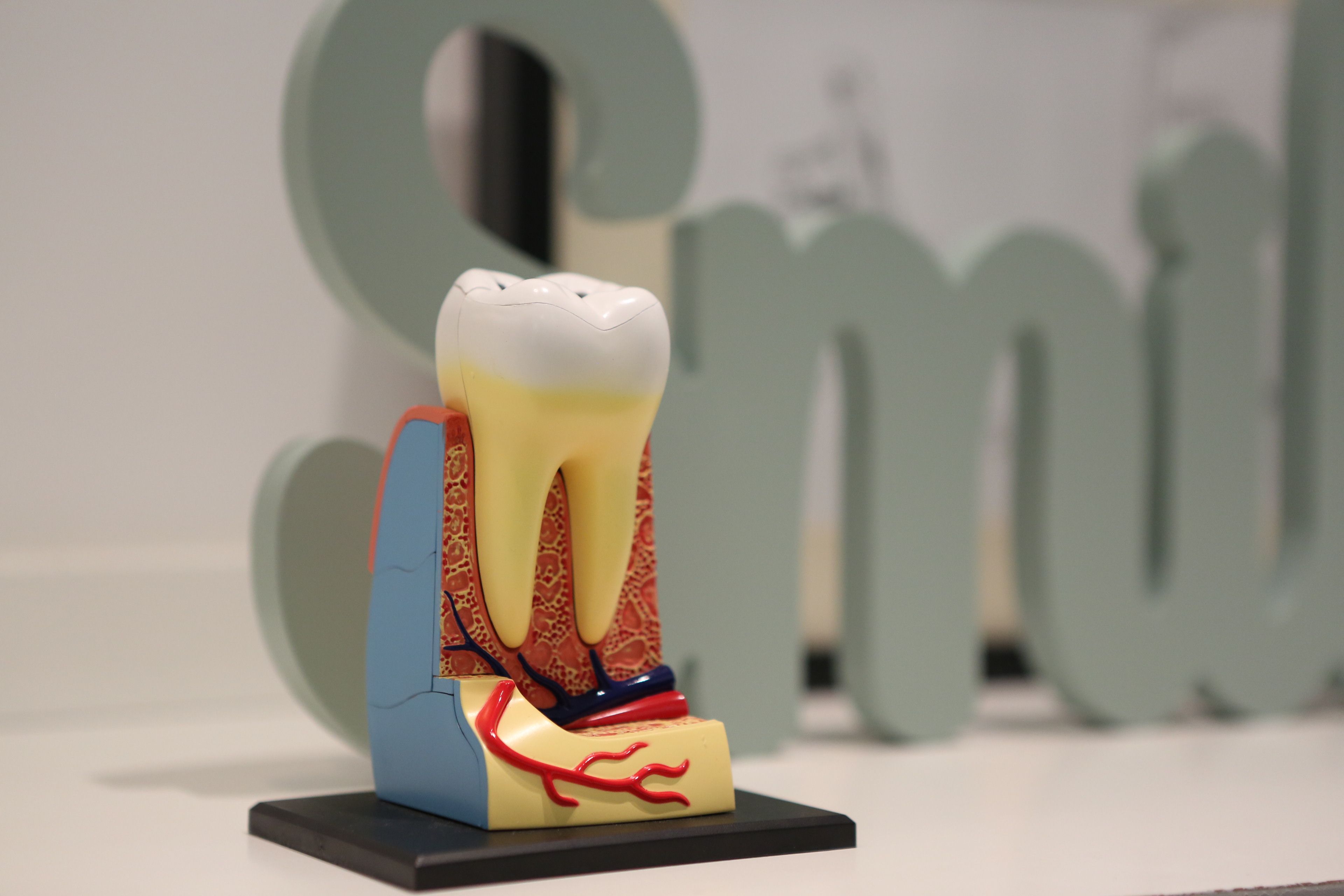 Root Canal Treatment: Understanding the Procedure and Benefits